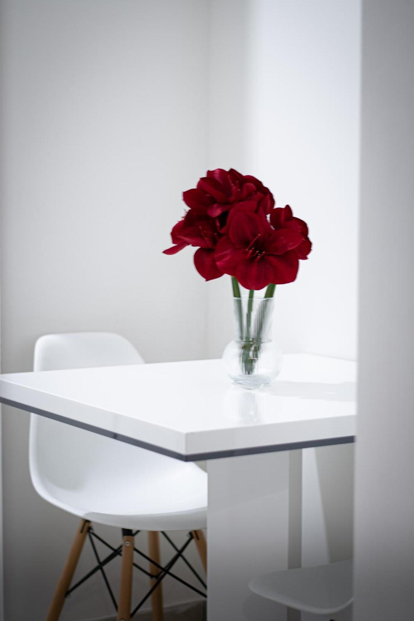 Appartement Helen New Chain Florenc
